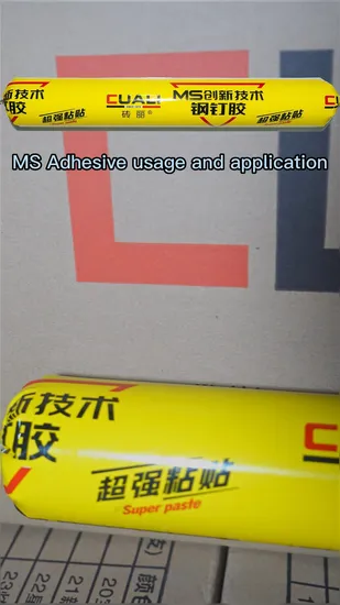 Universell einsetzbares Bau-MS-Silan